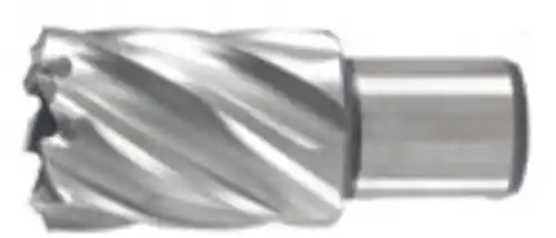 Bestel nu - Hikoki Accessoires Kernboor 42X30 Mm - 754433
